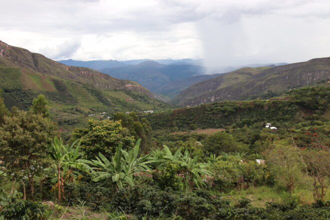 Flores Peru Landschaft